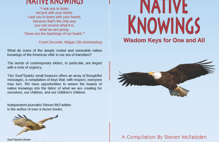 Digital Coloring Book Animal Spirits Printable Book, Southwest, Wester,  Native American, Wolves, Ravens JPG 